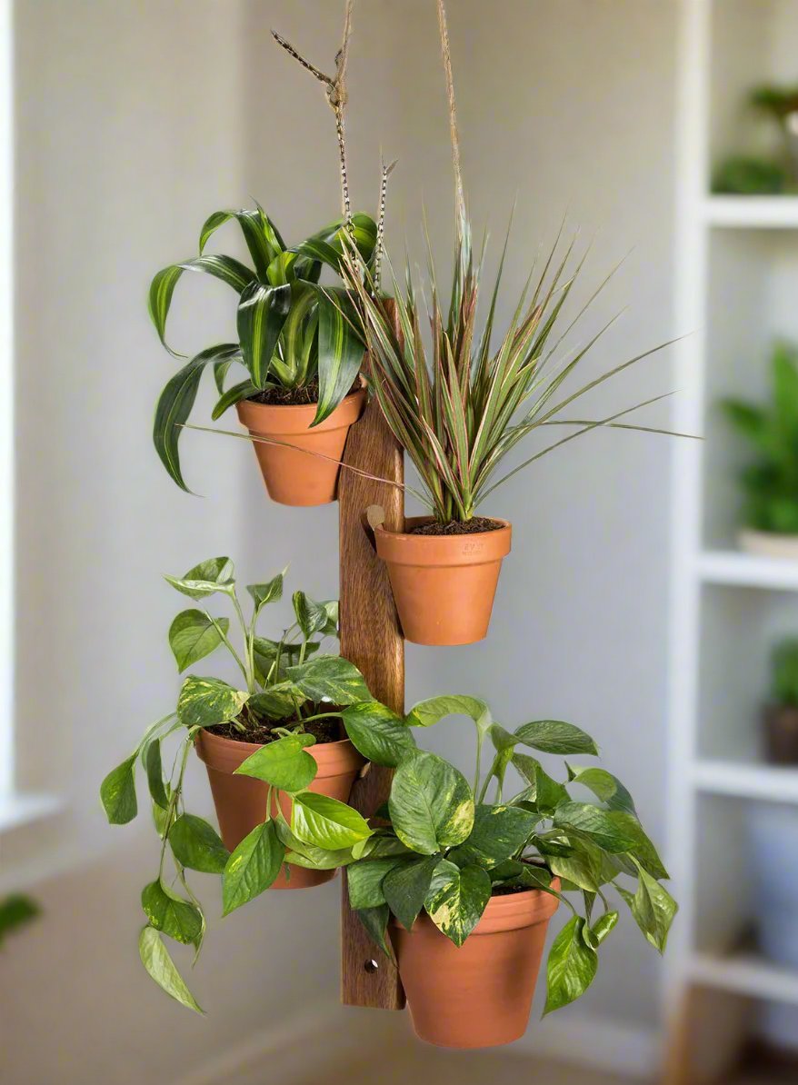 Diona Hanging Plant Holder