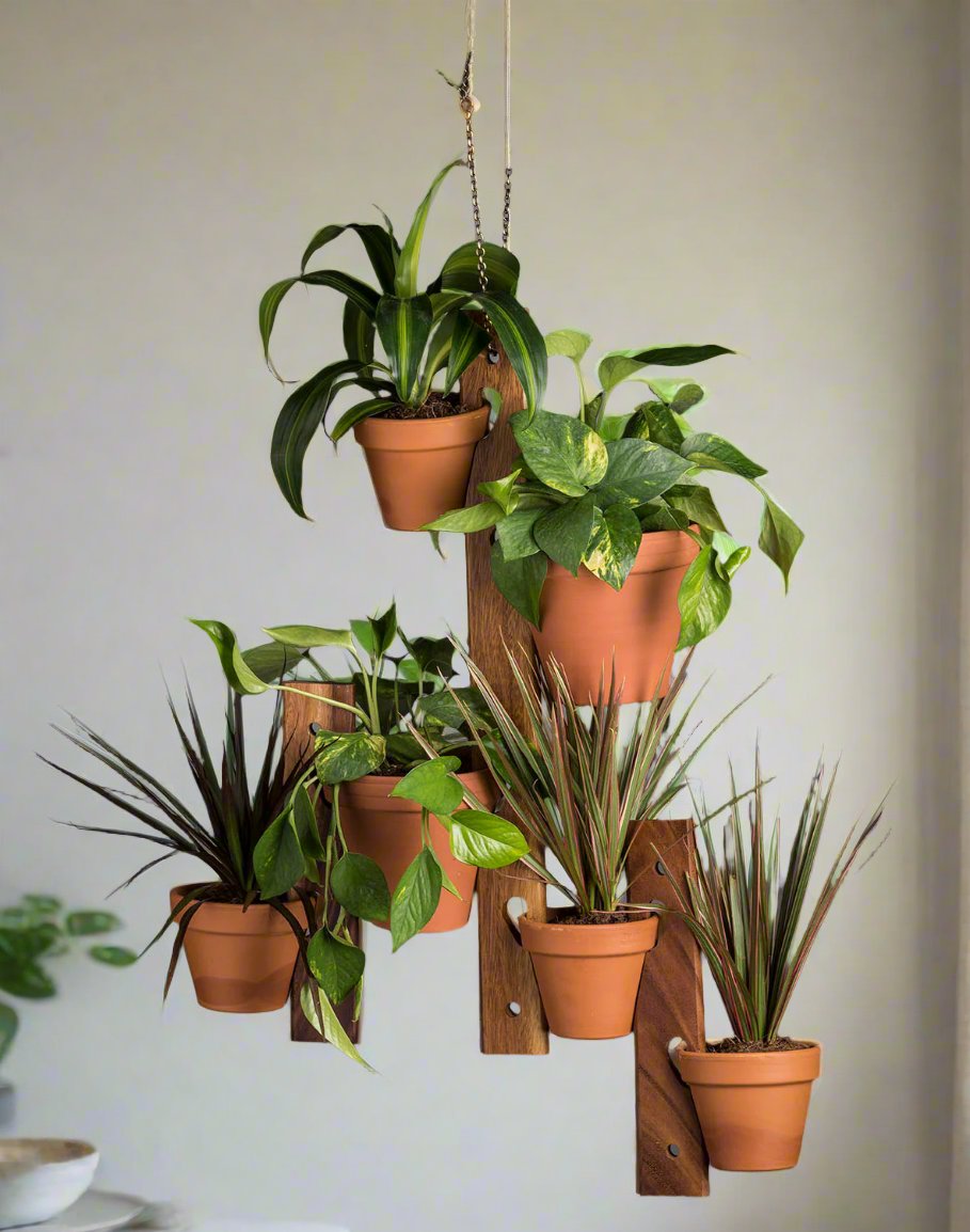Diona Hanging Plant Holder