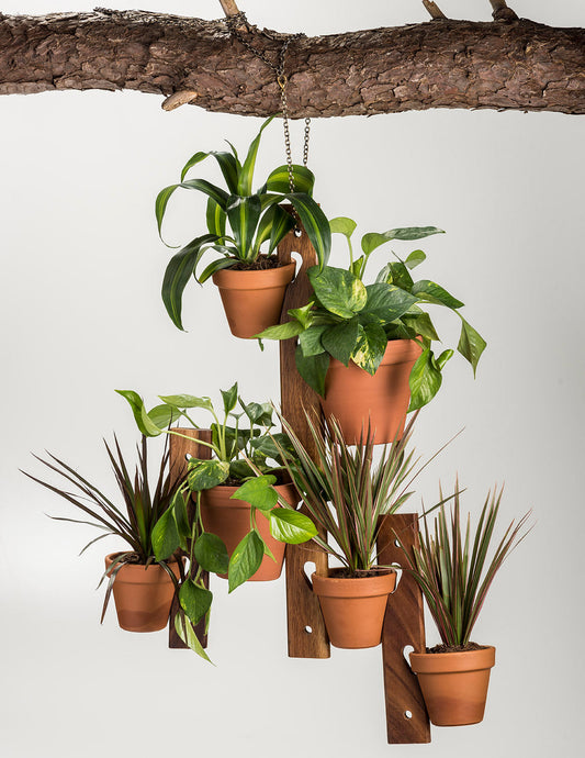 Diona Hanging Plant Holder