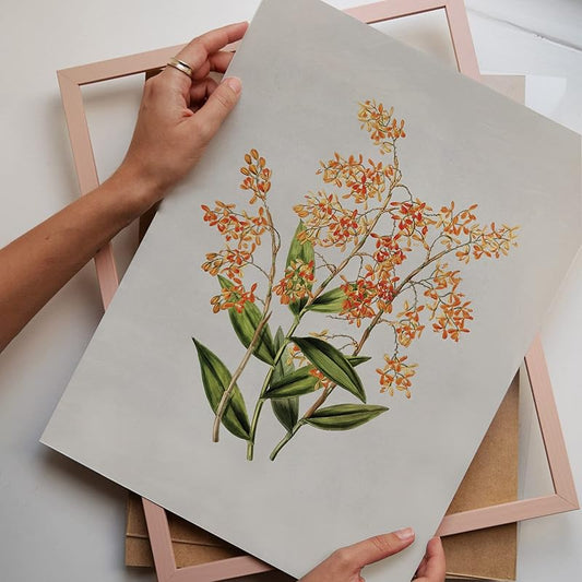 French Country Prints by Lucky Numan