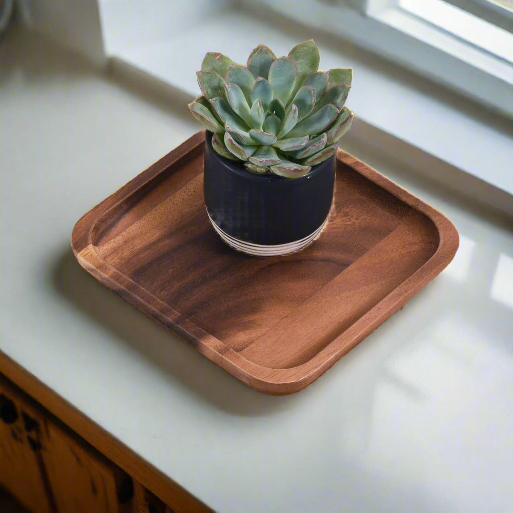 Woodcrest Acacia Wood Square Plates