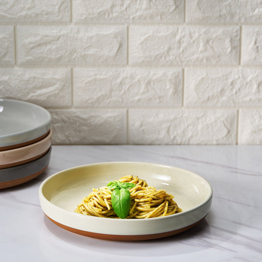 Tonal Ceramic Dinner Bowls