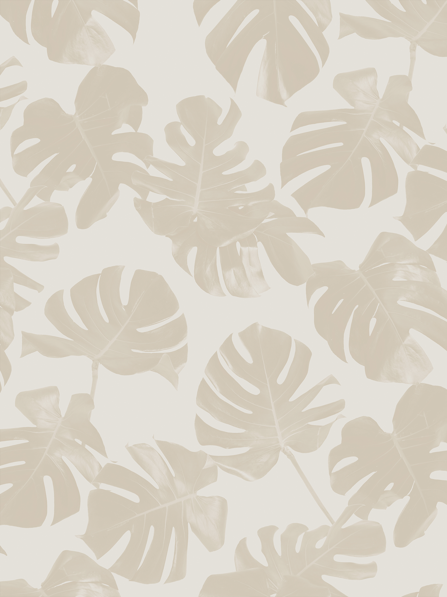 Monstera Leaf Wallpaper