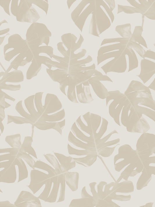 Monstera Leaf Wallpaper
