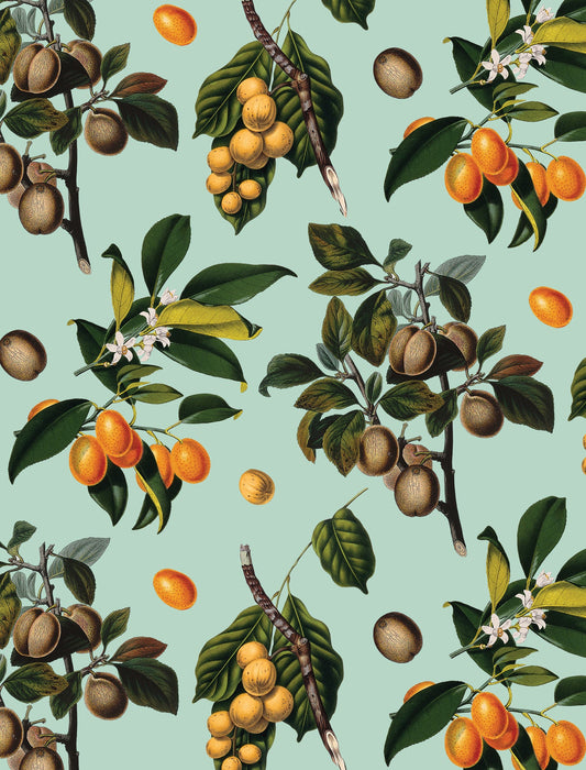 Robin Egg Vintage Orchard Wallpaper