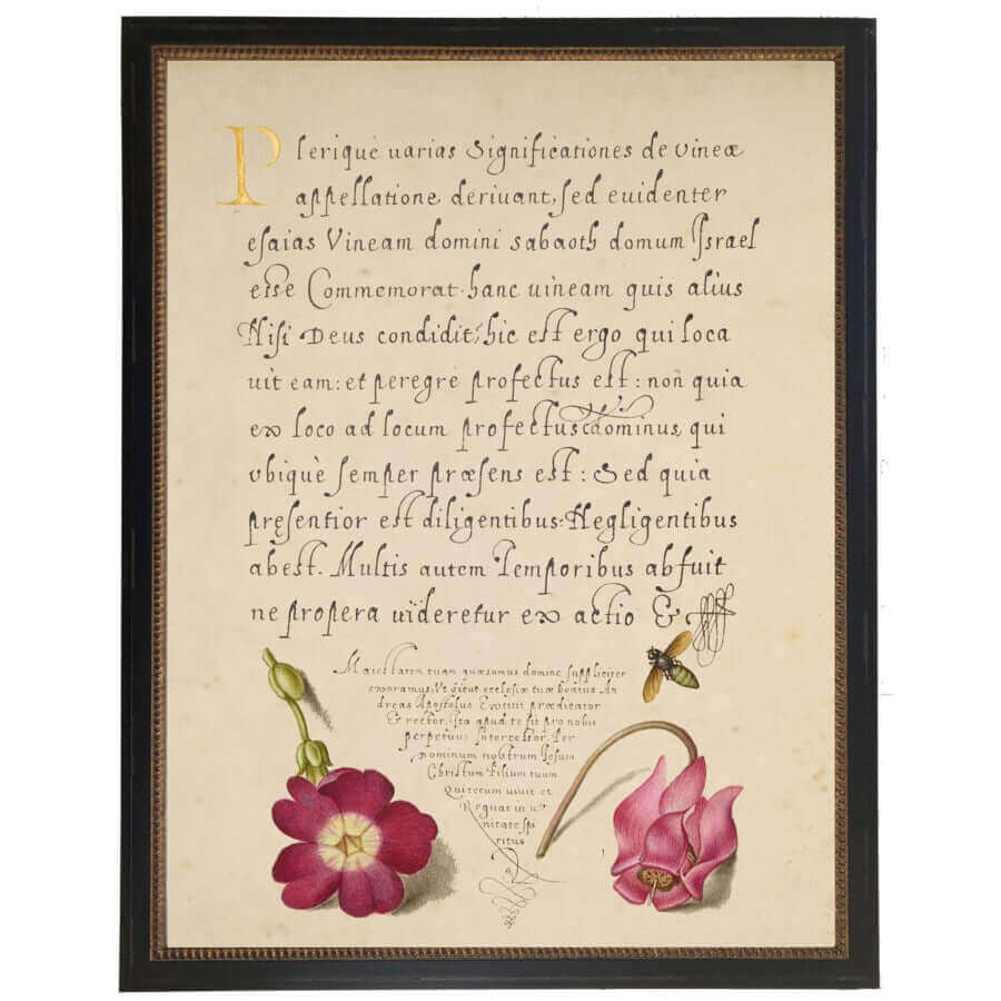 Flowers & Calligraphy 1500s Bookplate Reproduction Print