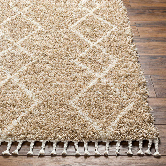 Ishan Area Rug - Clearance