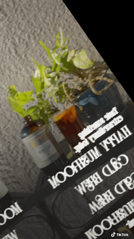 Happy Mushroom Concentrate Cold Brew Coffee