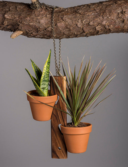 Diona Hanging Plant Holder