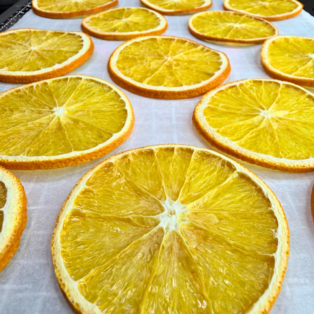 Garnish Dehydrated Orange Slices | Dried Oranges for Bar & Home Decor