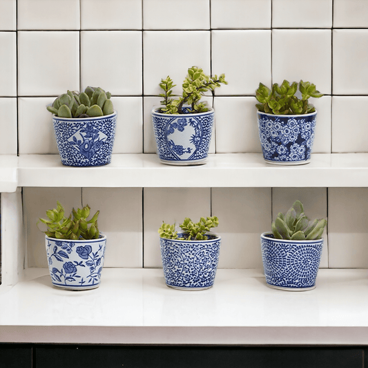 Mini Bleu Chinoiserie Cachepots