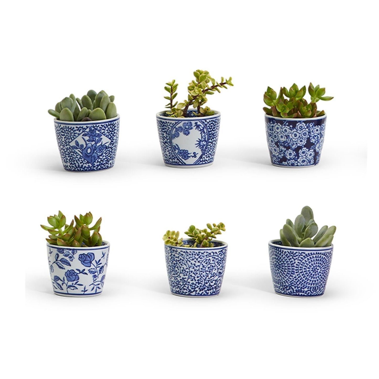 Mini Bleu Chinoiserie Cachepots