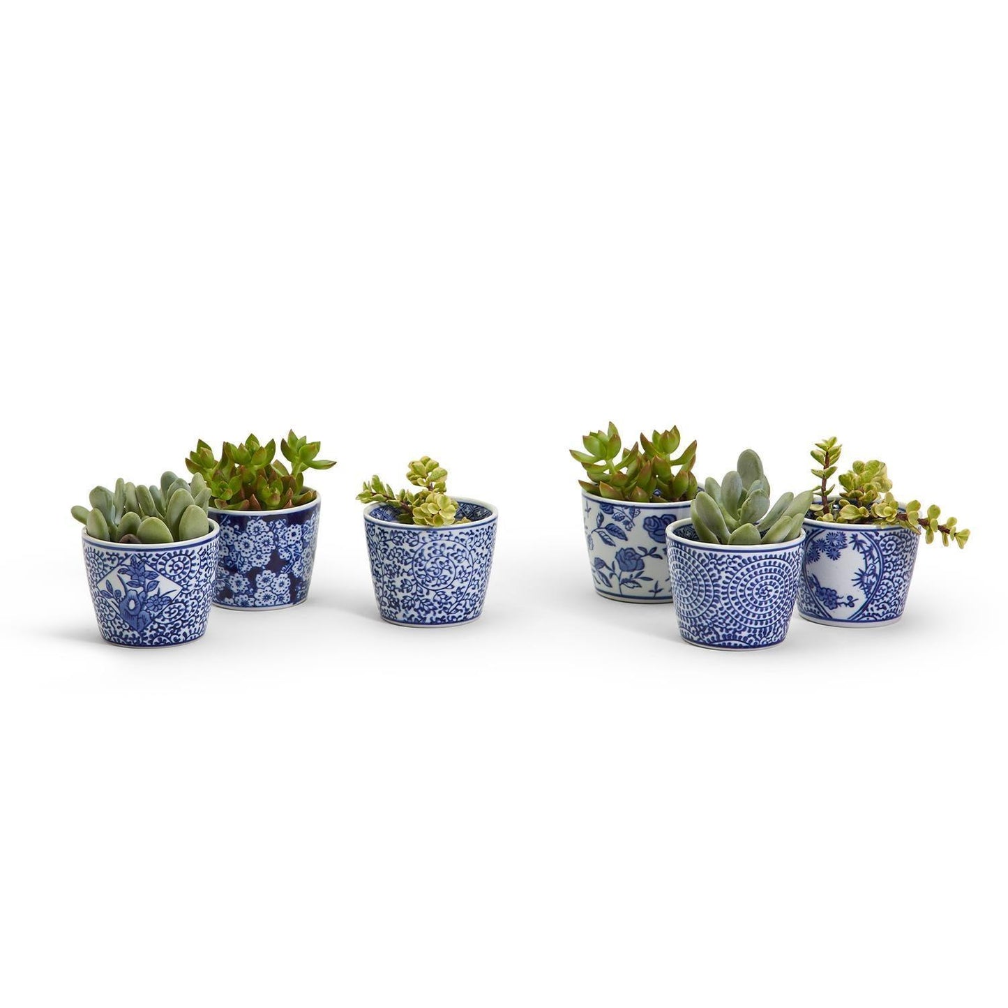 Mini Bleu Chinoiserie Cachepots