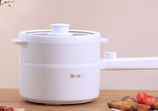 Multi-Use Electric Cooking Pot