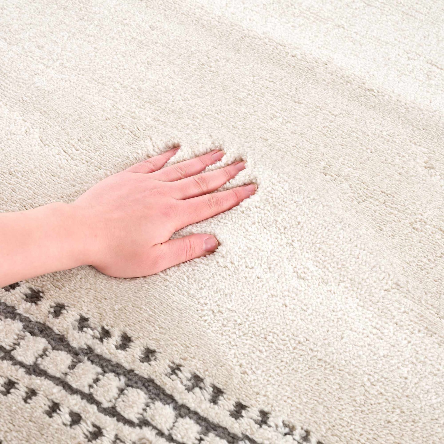 Ryuu Ivory & Gray Area Rug