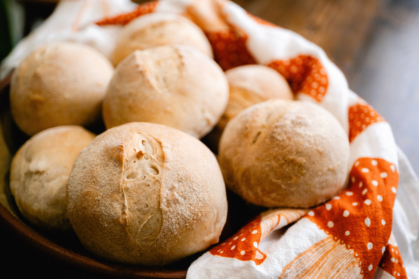 Otis | Legacy Sourdough Starter