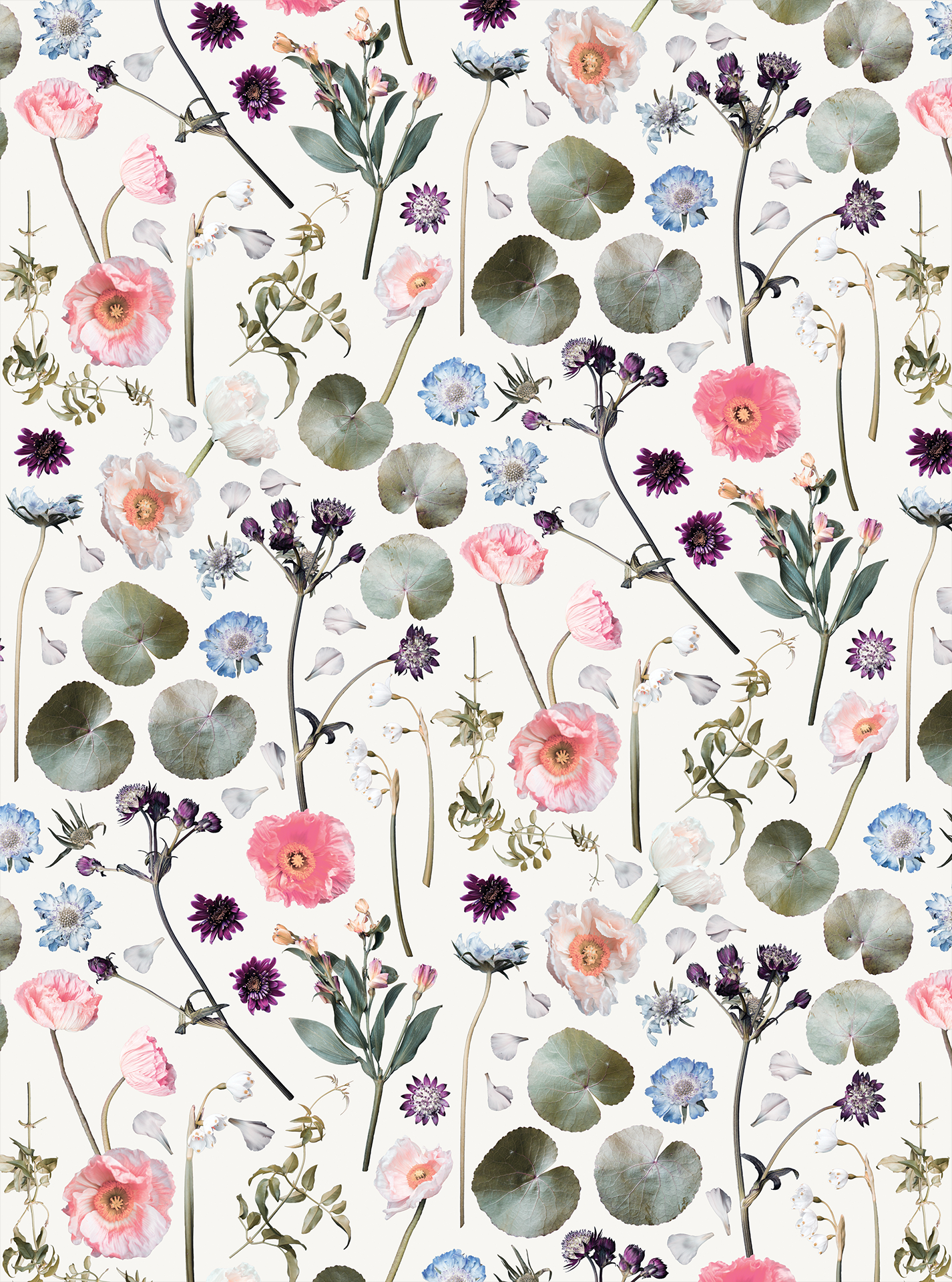Floral Finds Wallpaper, white