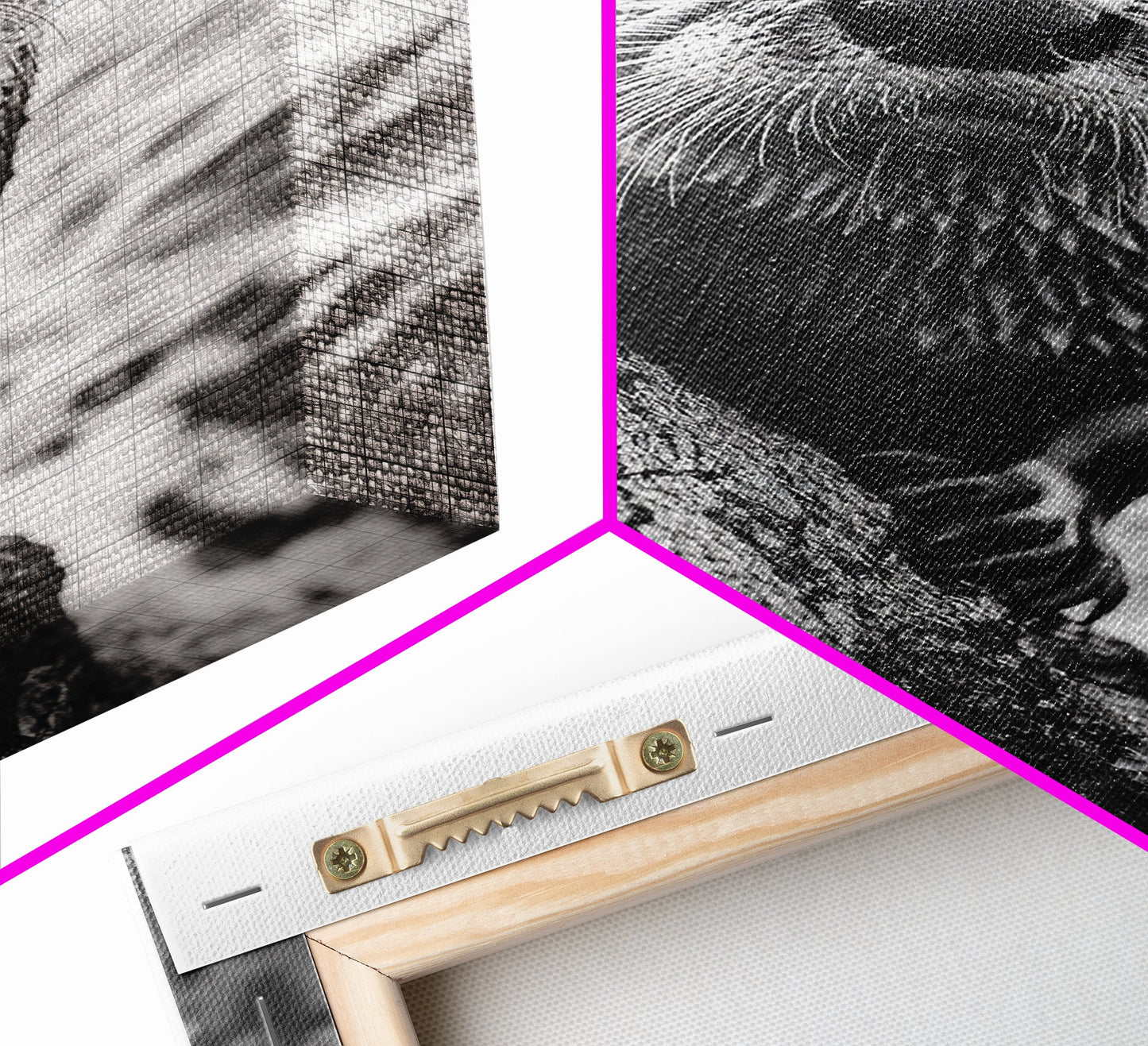 Curious Otter-Coastal Wildlife Framed Canvas Print