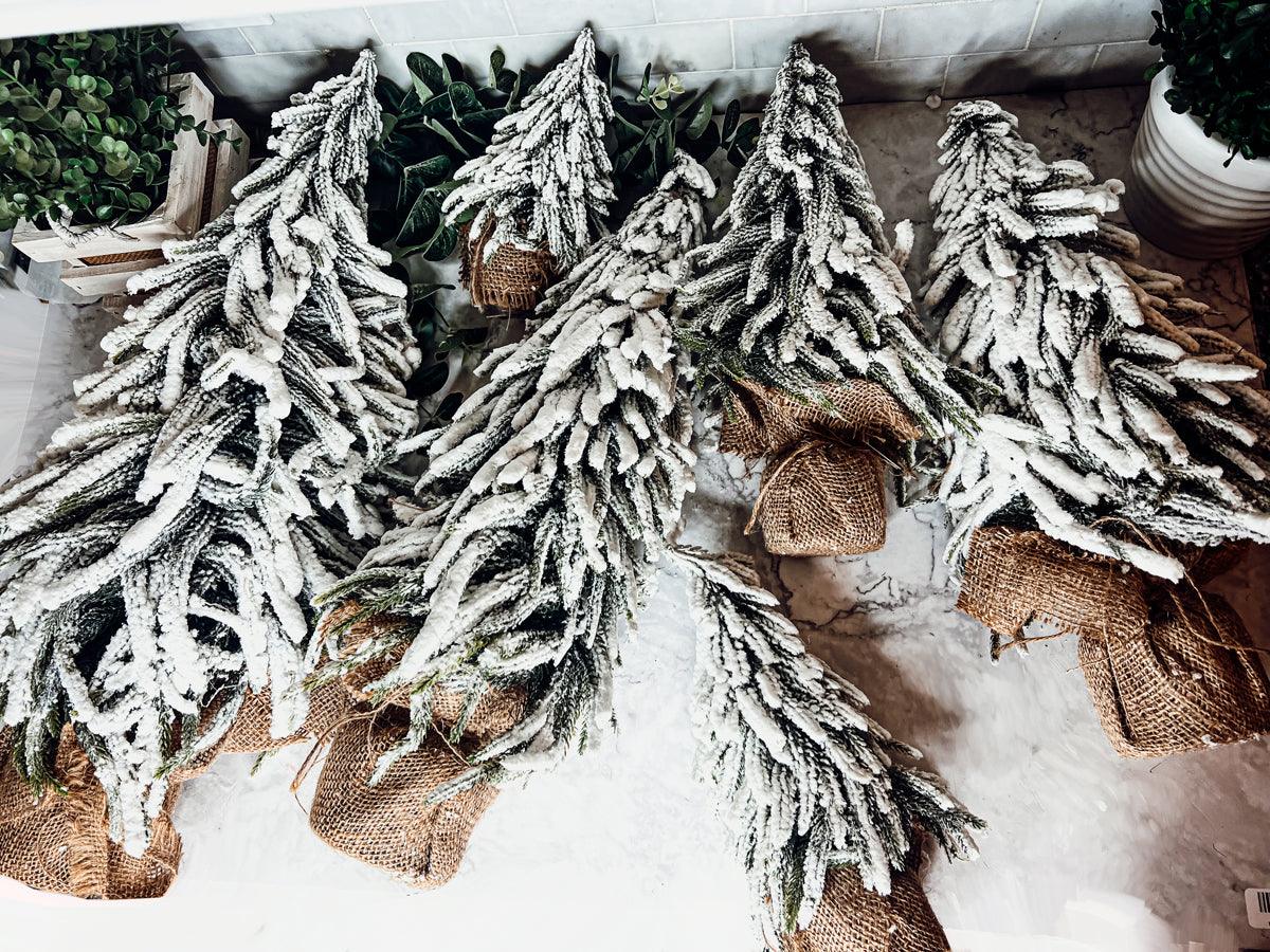 Big Sur Snow Covered Trees OG