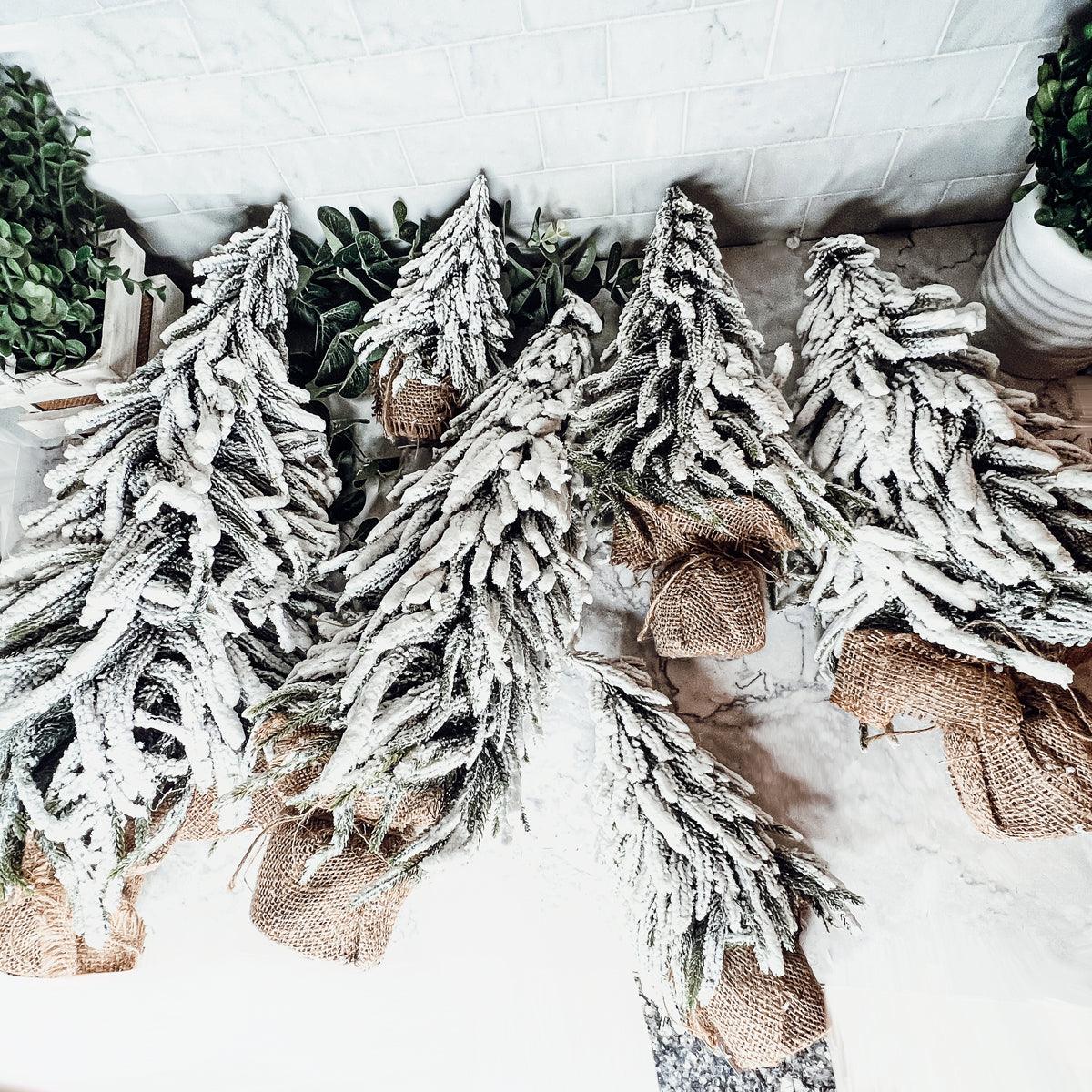 Big Sur Snow Covered Trees OG