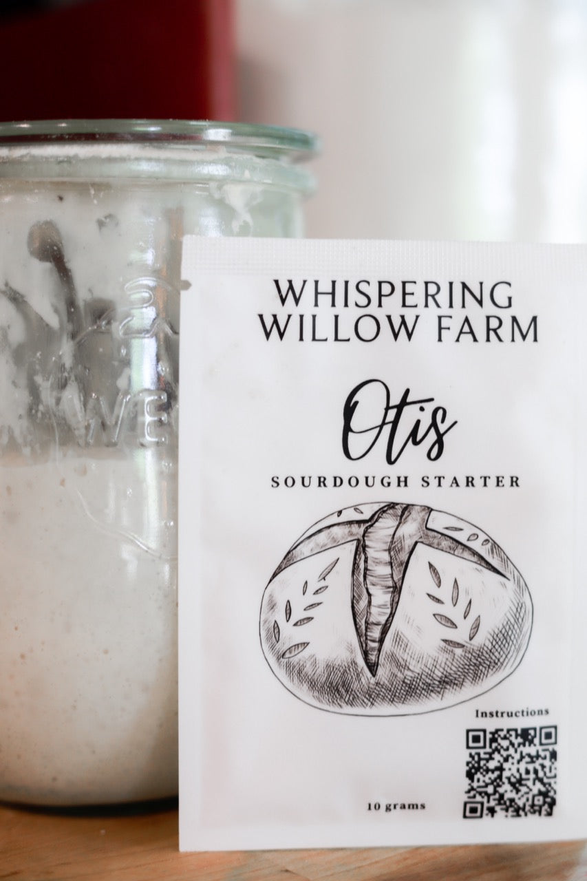 Otis | Legacy Sourdough Starter