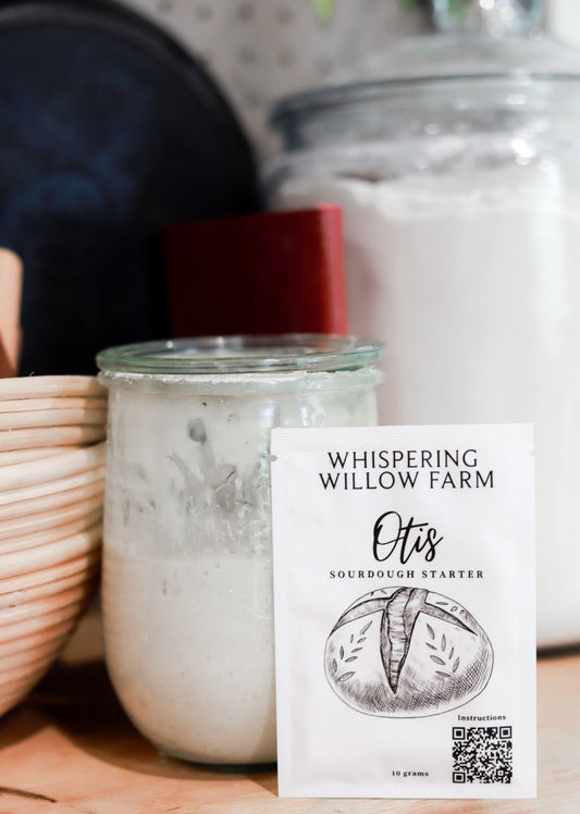 Otis | Legacy Sourdough Starter