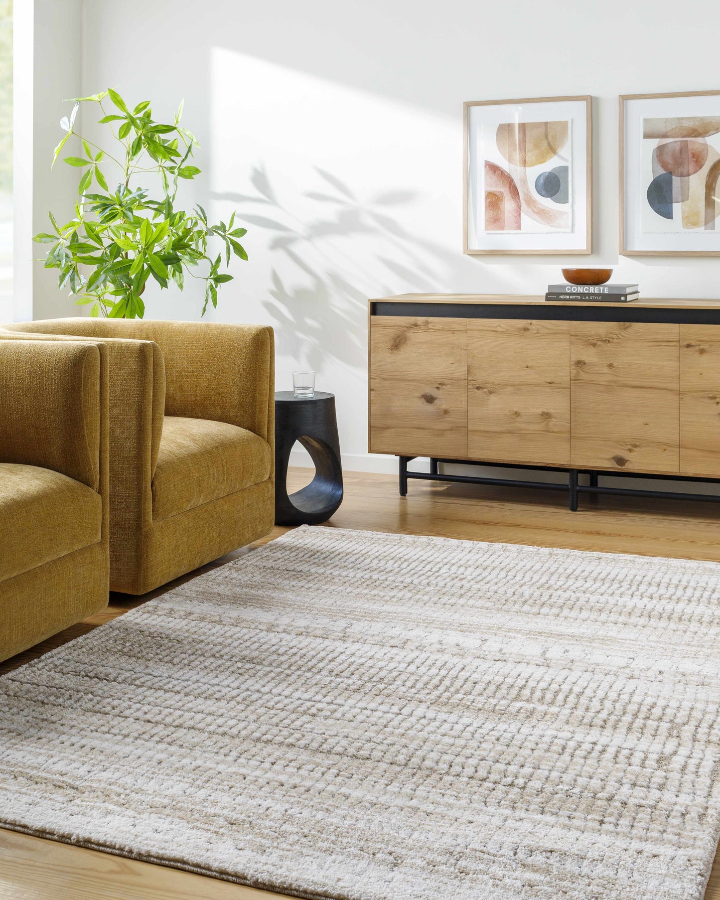 Akande Shag Area Rug - Clearance