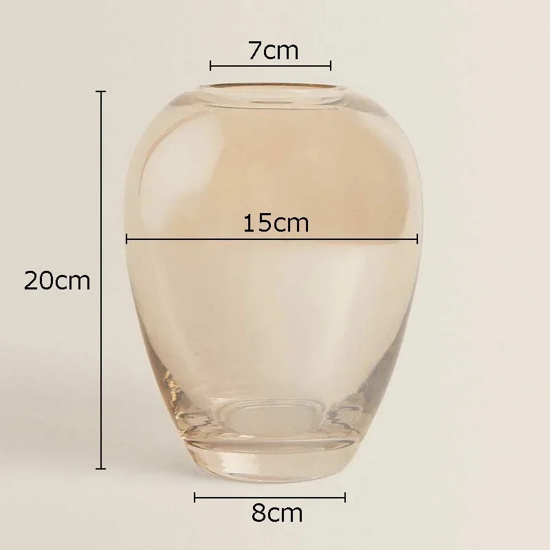 Amber Glass Vase | Transparent Hydroponics X DecorBites™