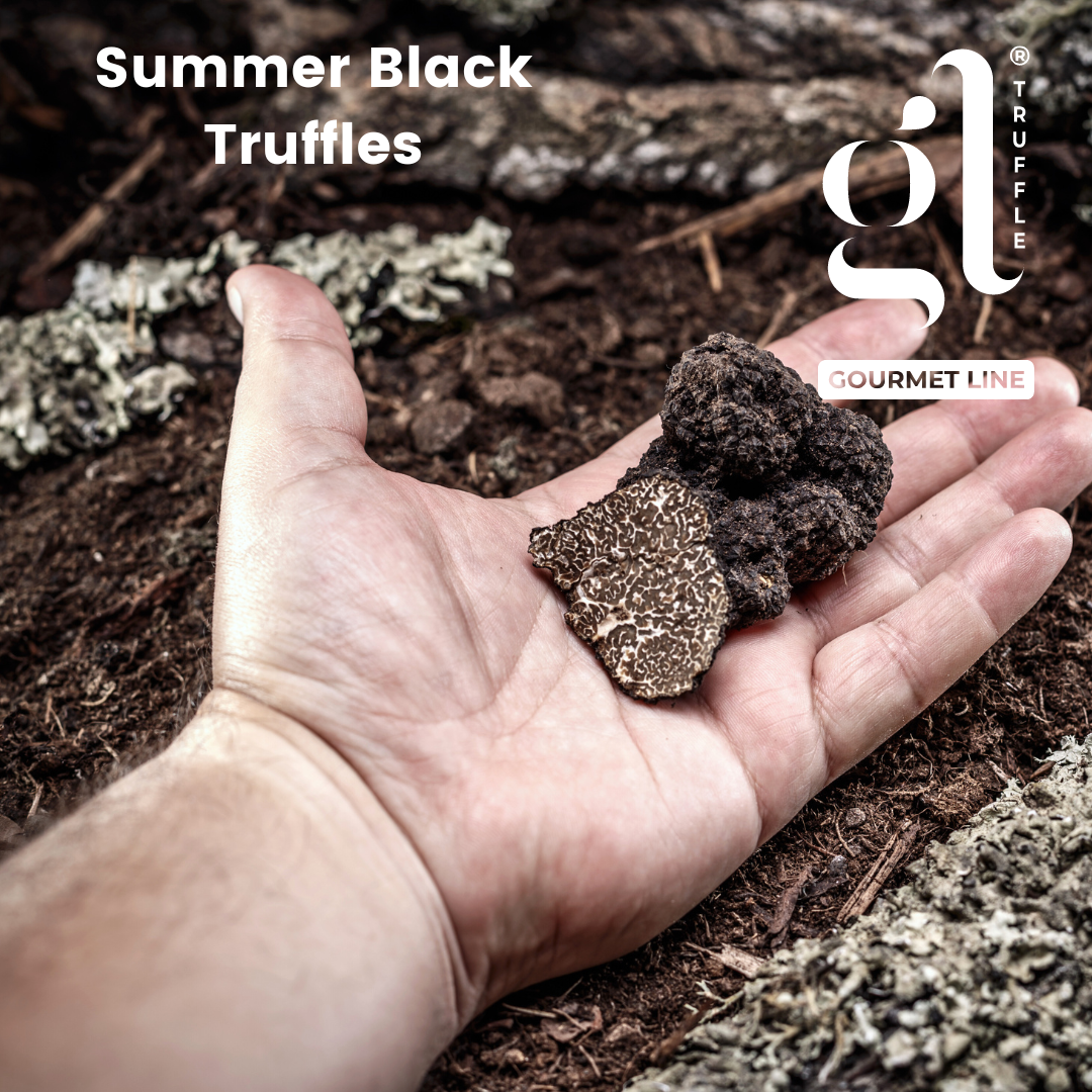 Whole Black Summer Truffle,  Preserved