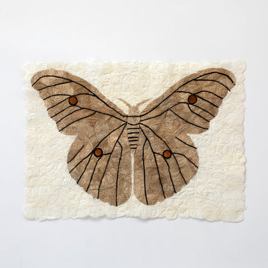Natural Wild Silk Moth Wall Art