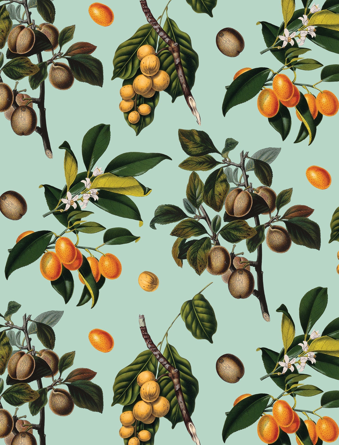 Robin Egg Vintage Orchard Wallpaper