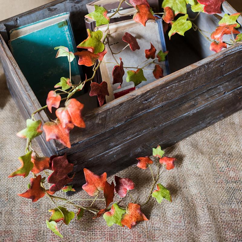 Autumn Ivy League Vine