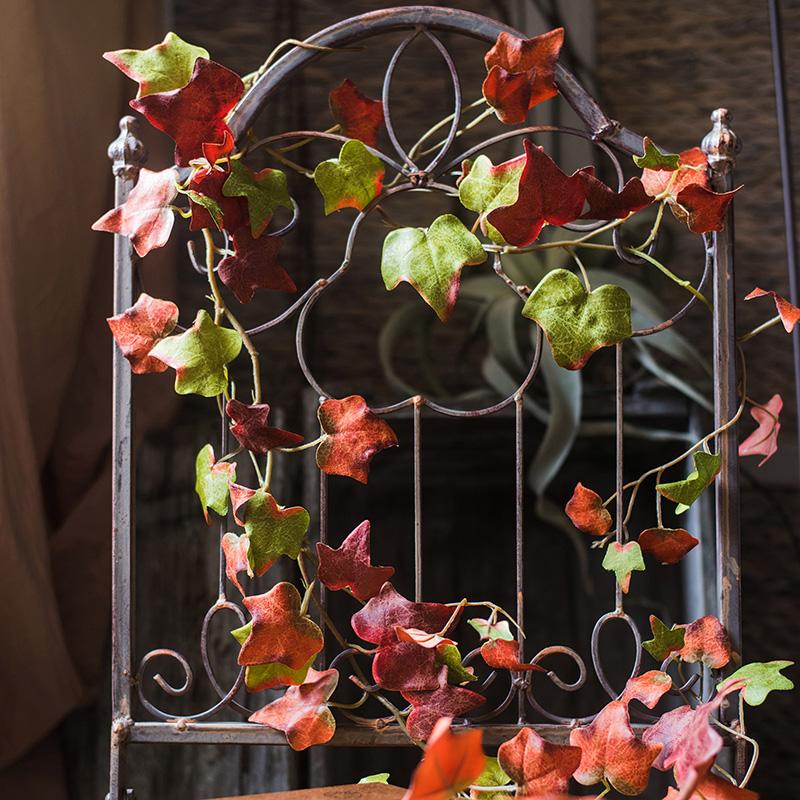 Autumn Ivy League Vine