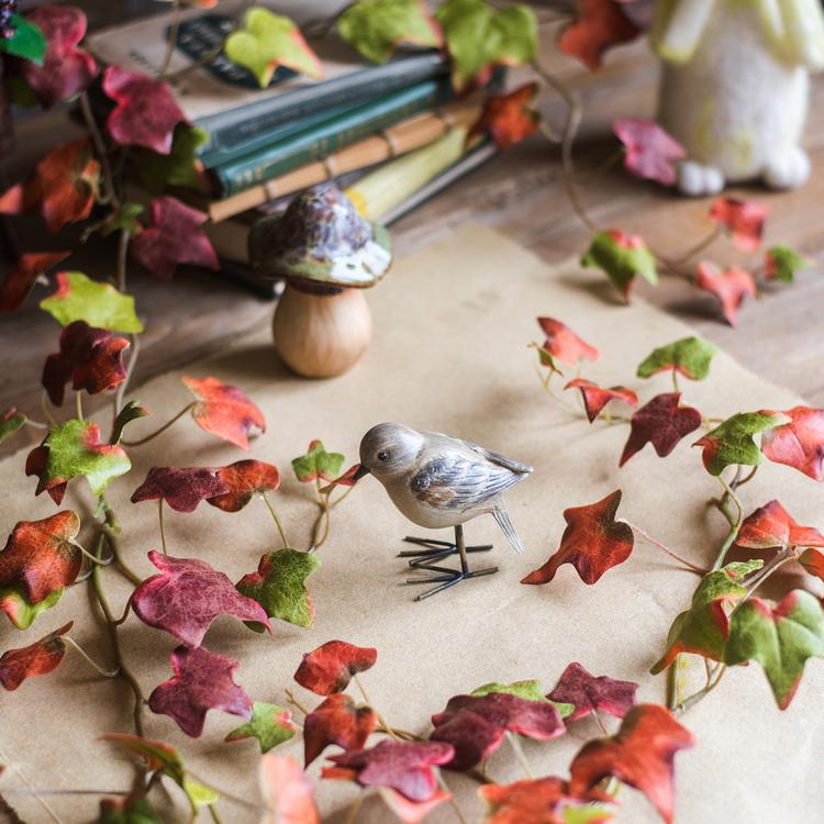 Autumn Ivy League Vine