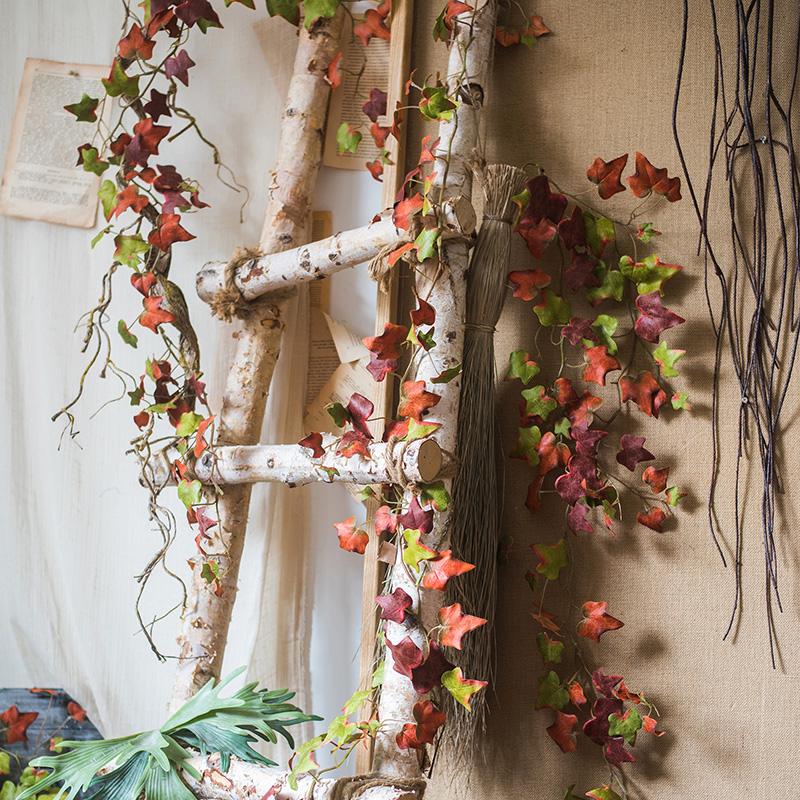 Autumn Ivy League Vine