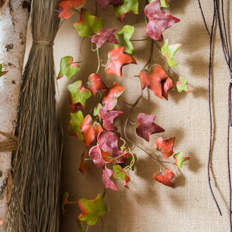 Autumn Ivy League Vine