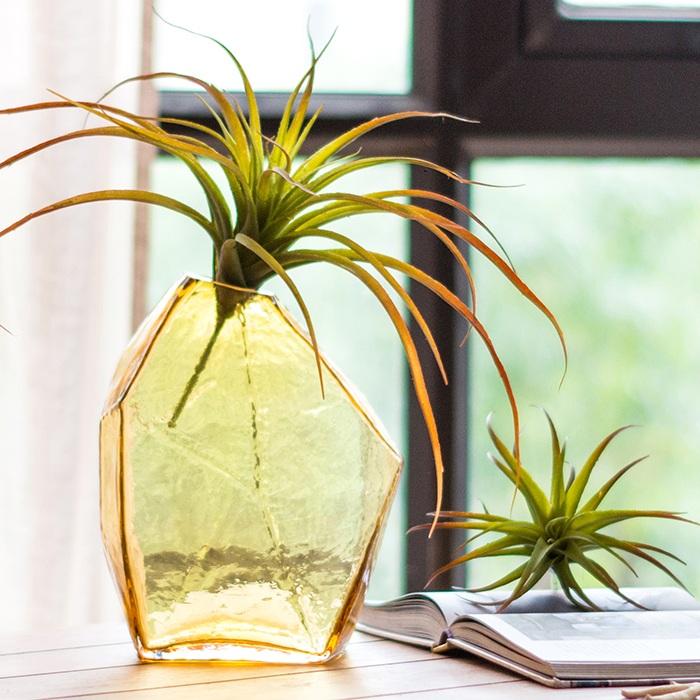 Hand Blown Jewel Glass Vase