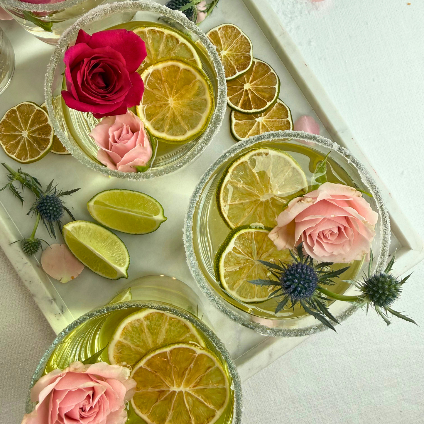 Dehydrated Lime Slices | Dried Limes for Bar & Decorative Styling