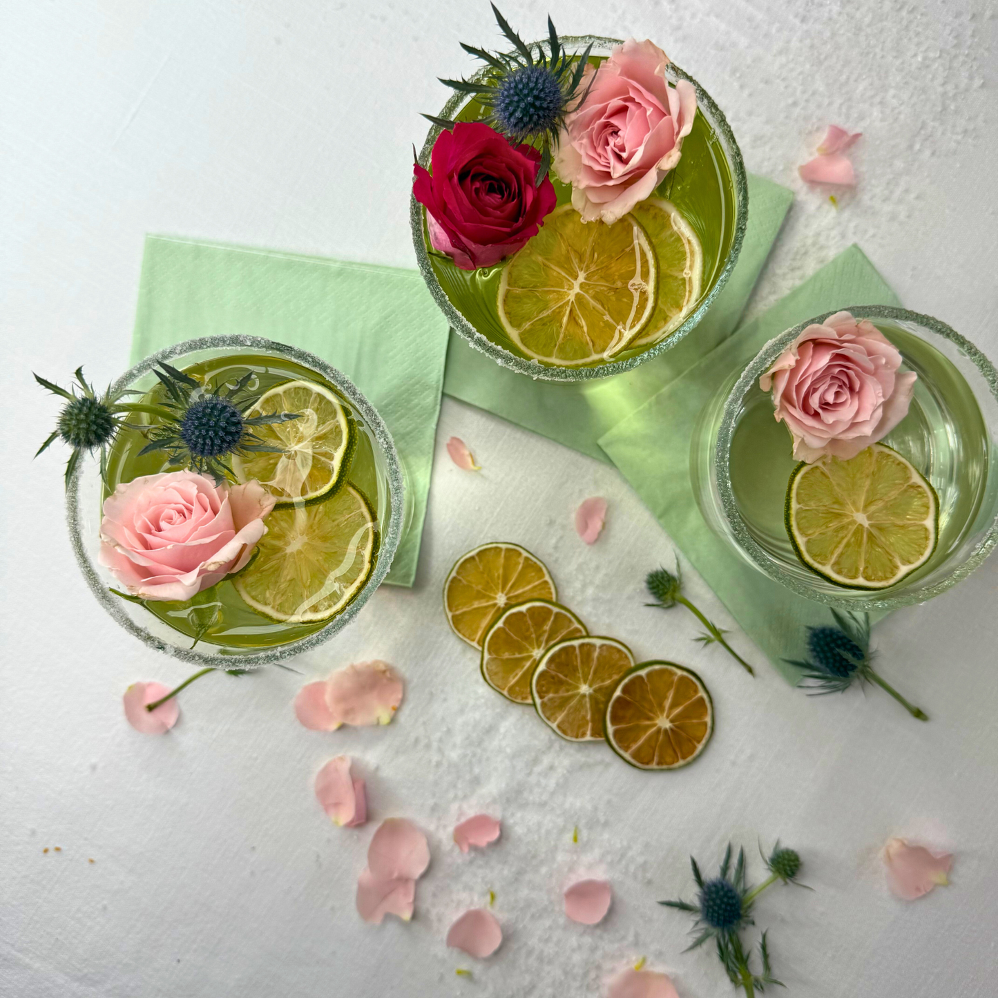 Dehydrated Lime Slices | Dried Limes for Bar & Decorative Styling