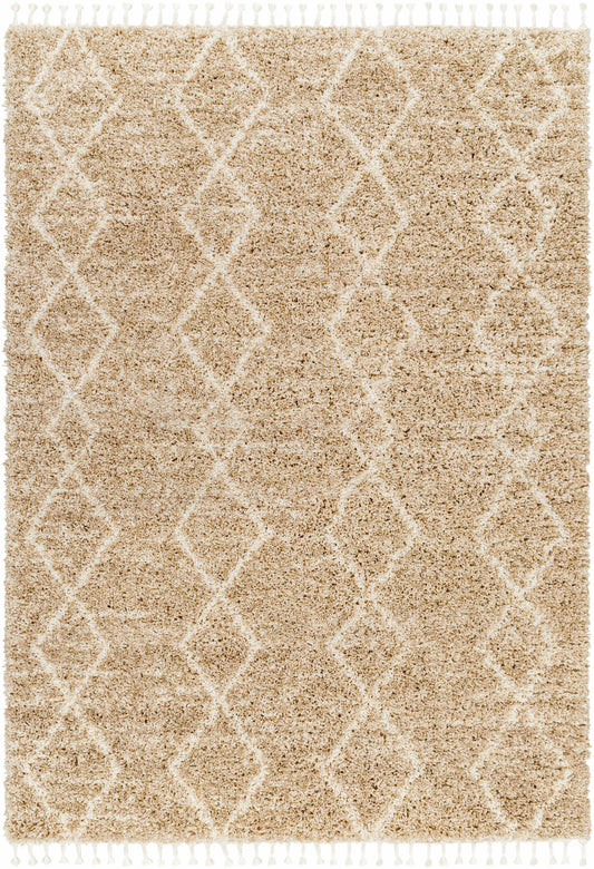 Ishan Area Rug - Clearance