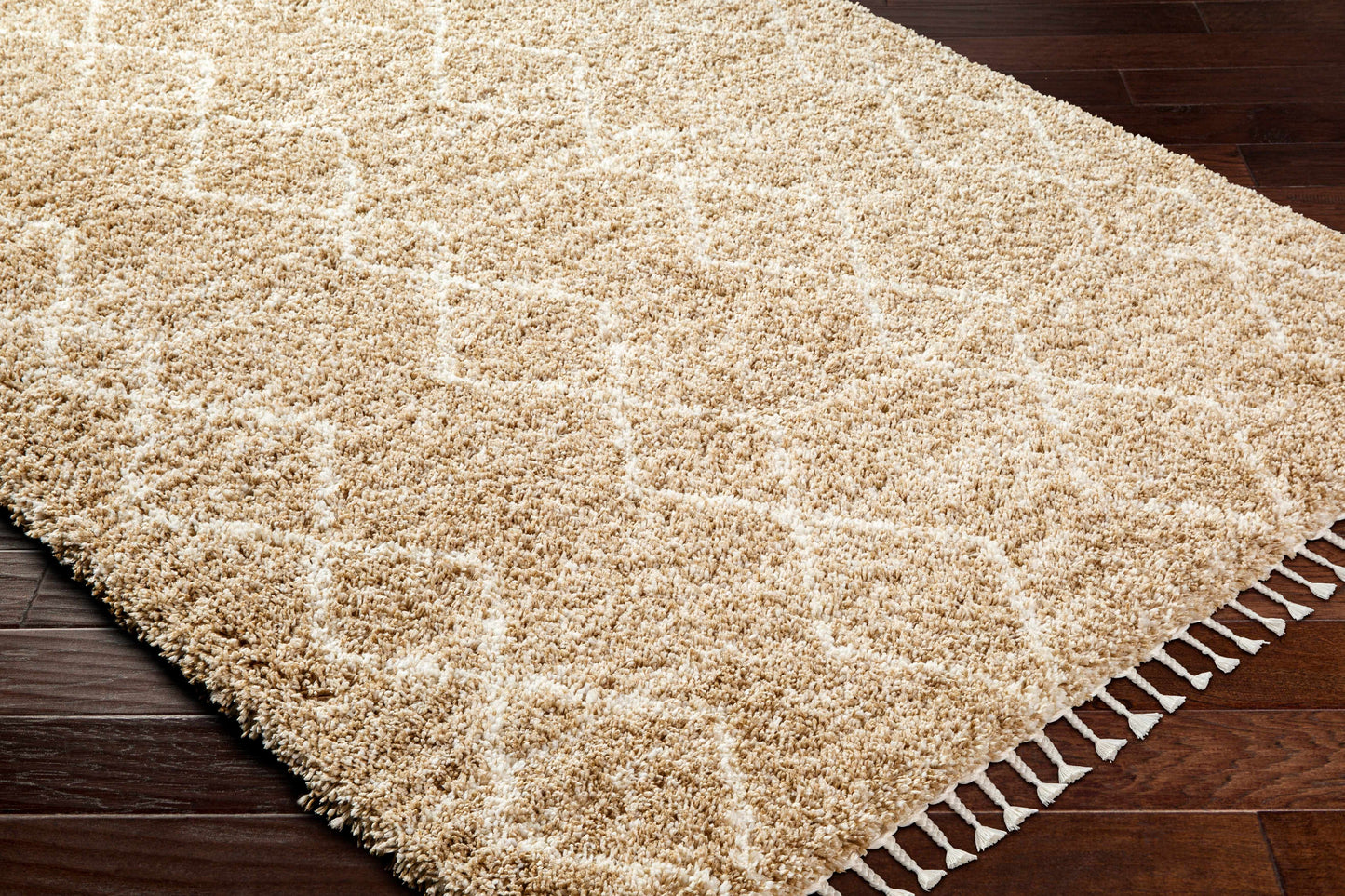 Ishan Area Rug - Clearance