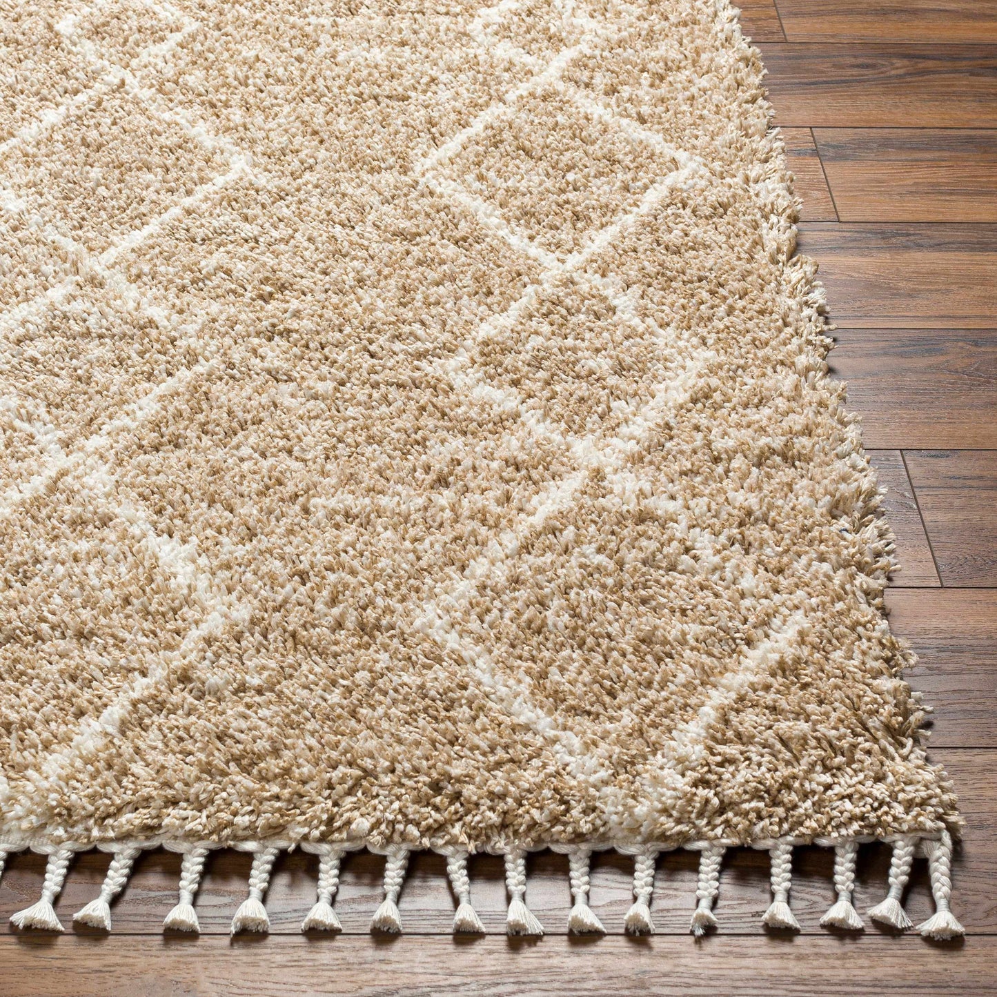 Ishan Area Rug - Clearance
