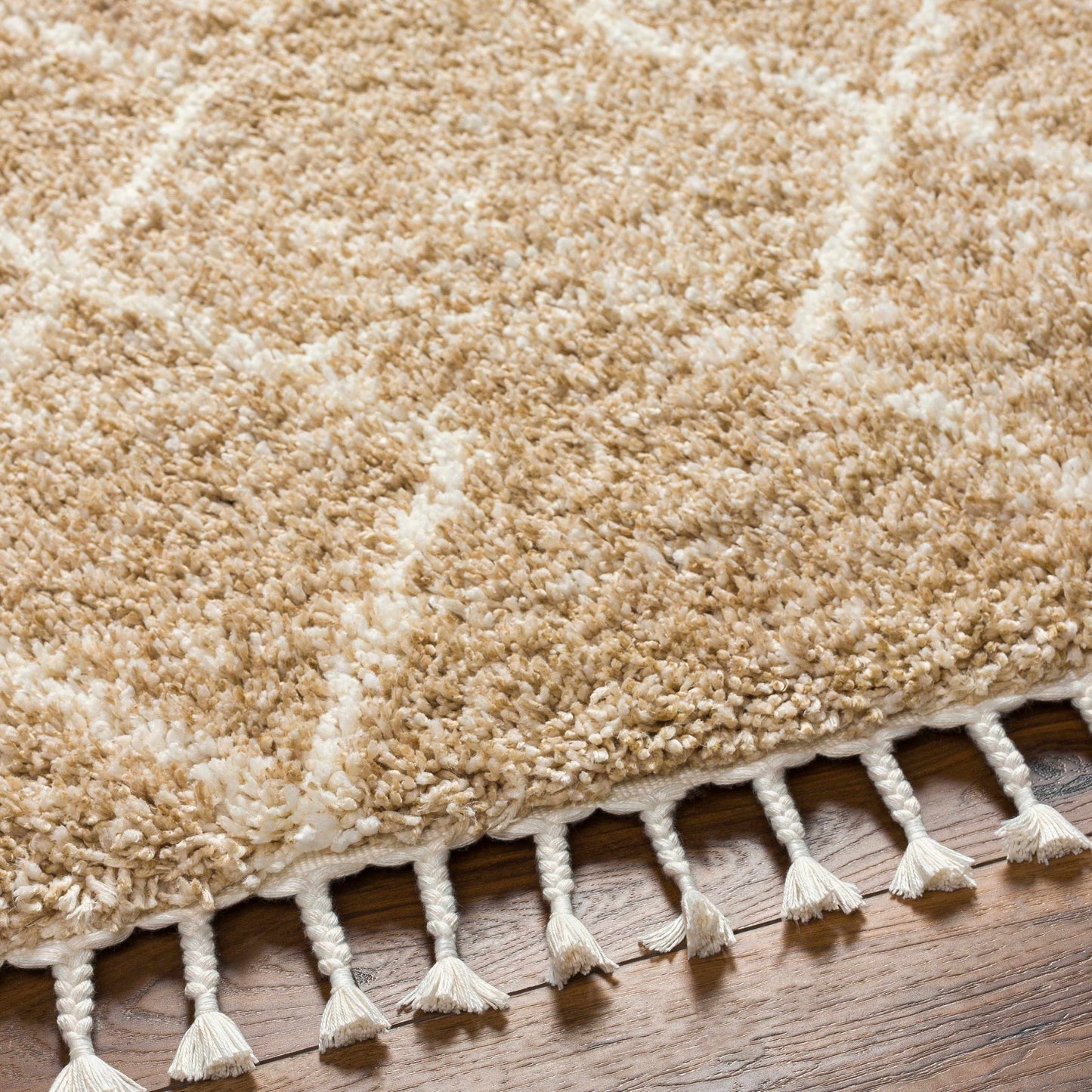 Ishan Area Rug - Clearance